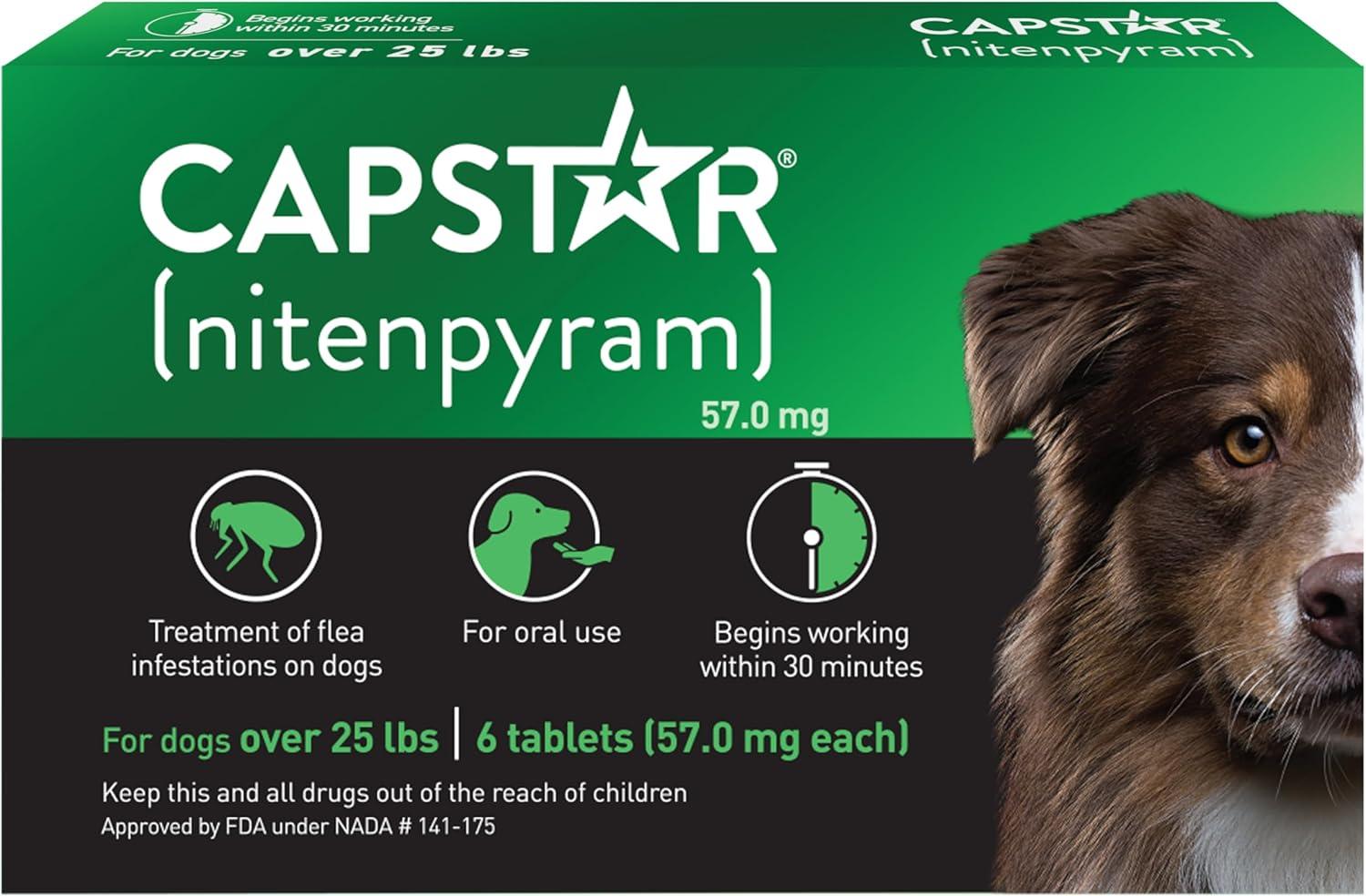 6 Fast-Dacting Dog Flea Tablets Tested: Advantage Versus CAPSTAR's Speed…