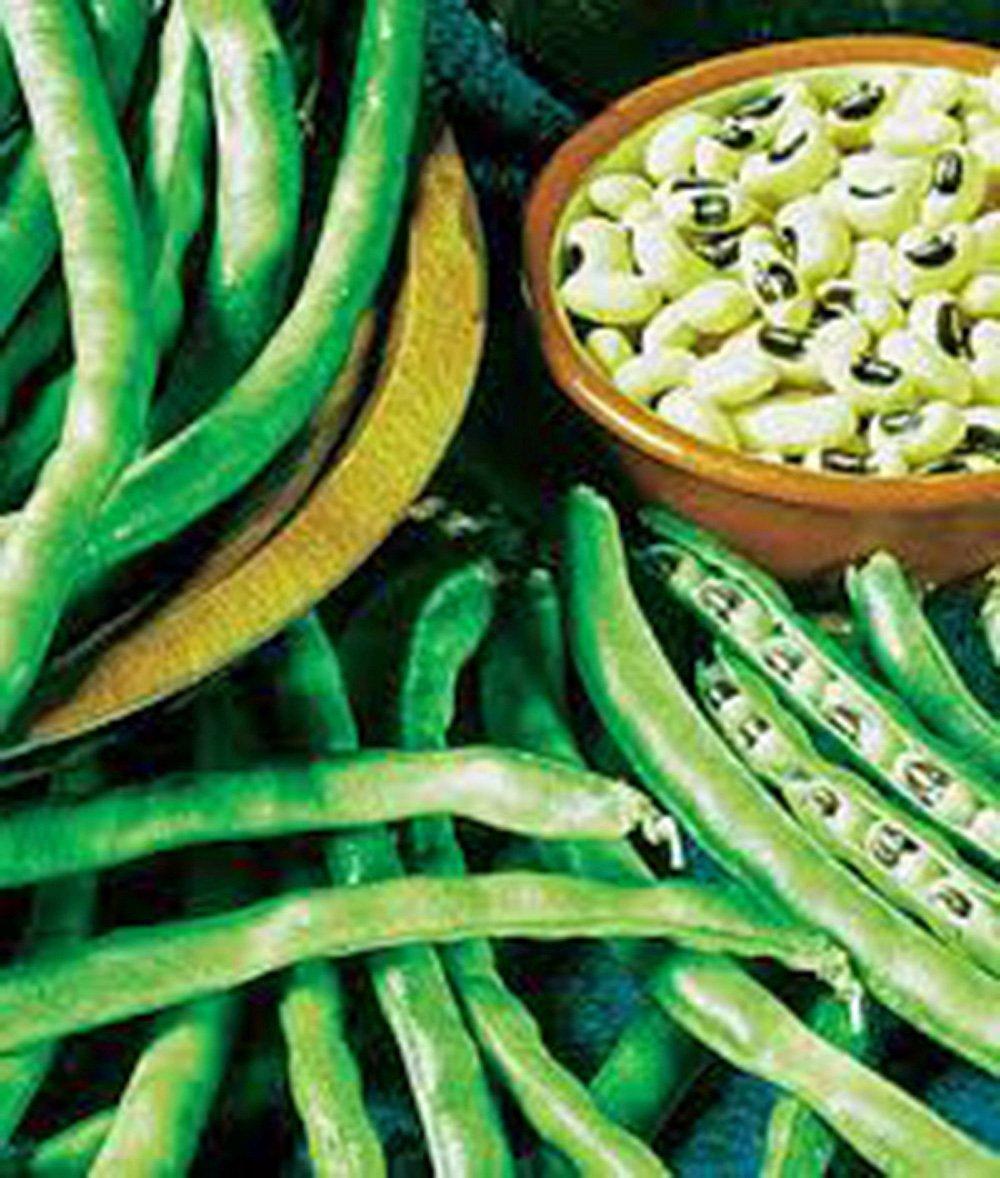 Black-Eyed Peas Showdown: Heirloom Versus Cal Black-Eye... Tested For Surprising Flavor