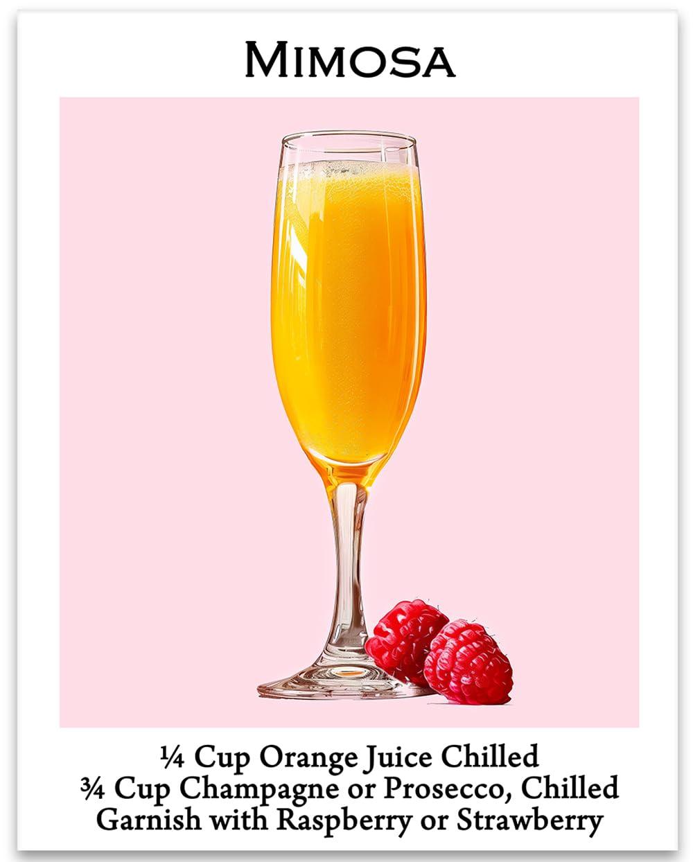 Mimosa Coasters Showdown: Tested Style Versus Function... Wow!