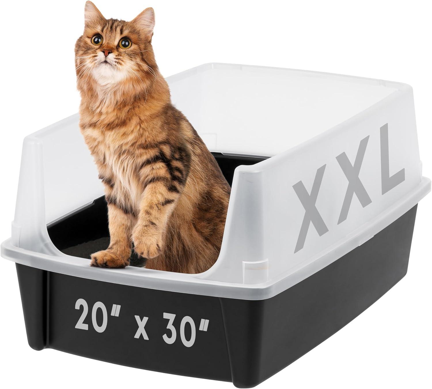 Iris USA Cat Litter Box Showdown: Open Top + Scatter Shield Tested for Multi-Cat Use