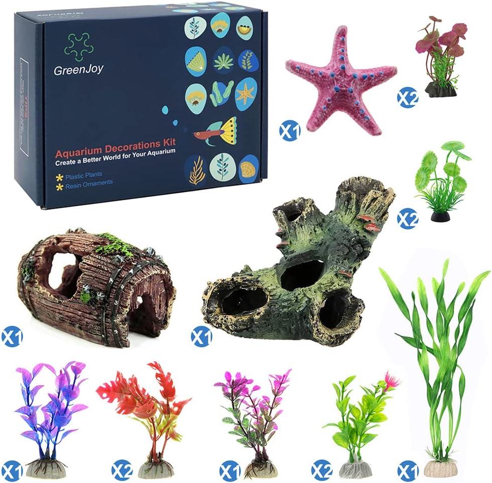Surprising Insight: Agate Chips Boost Plant Decor with Natural Beauty