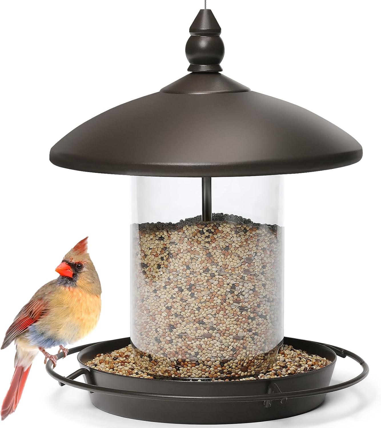 Chew-Proof Bird Feeder Showdown: Bronze Construction Tested for Outdoor Toughness?