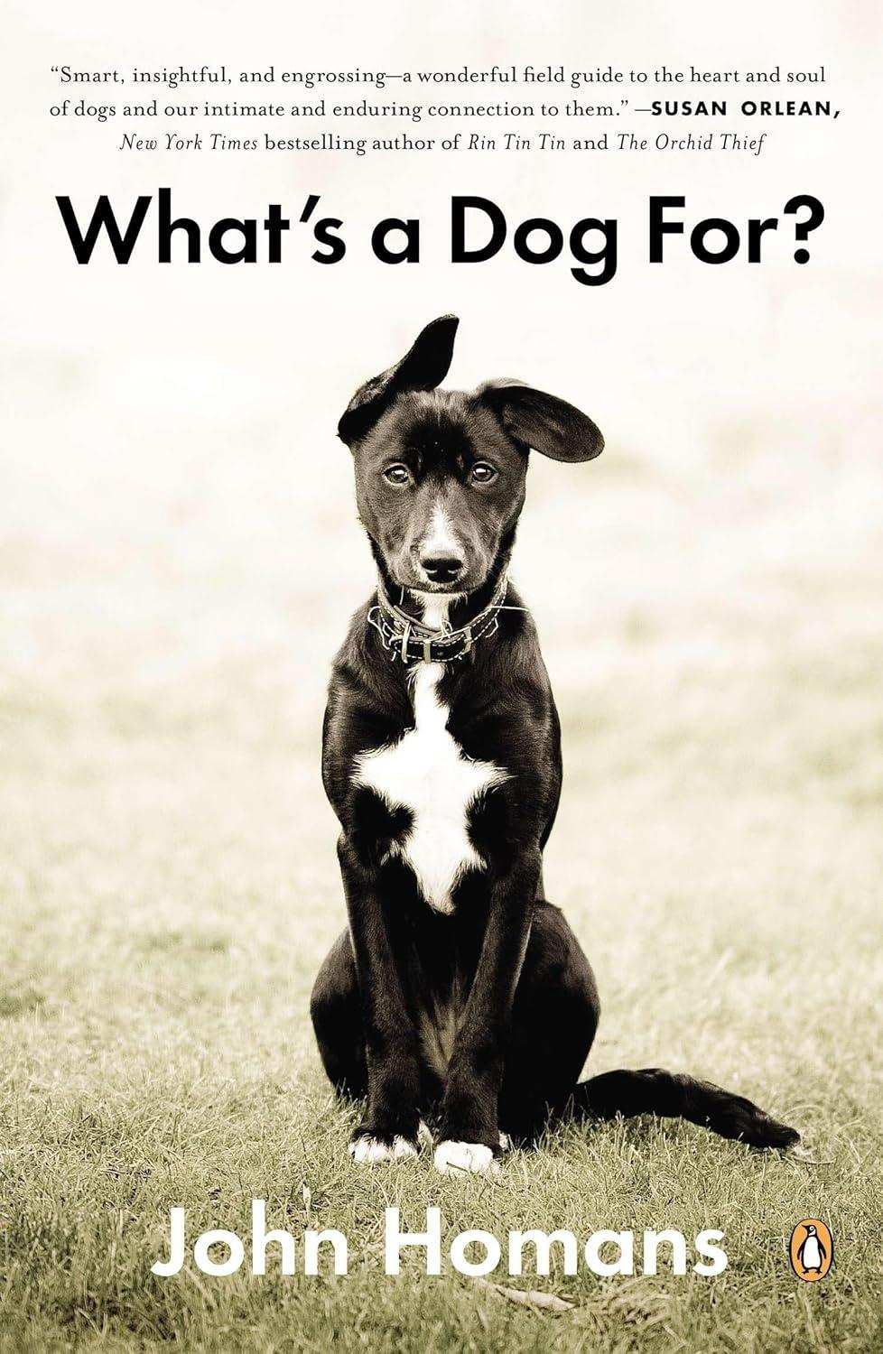 Dog Culture Showdown: Surprising, Tested, & Found Rescue Stories
