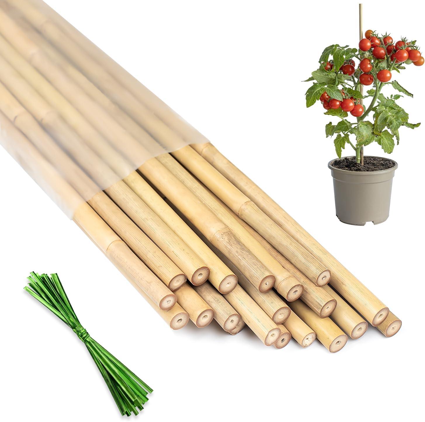 Comparing 18-inch Bamboo Stakes... (Eco-Friendly) vs. HAINANSTRY's Orchid-Veg Garden Stakes