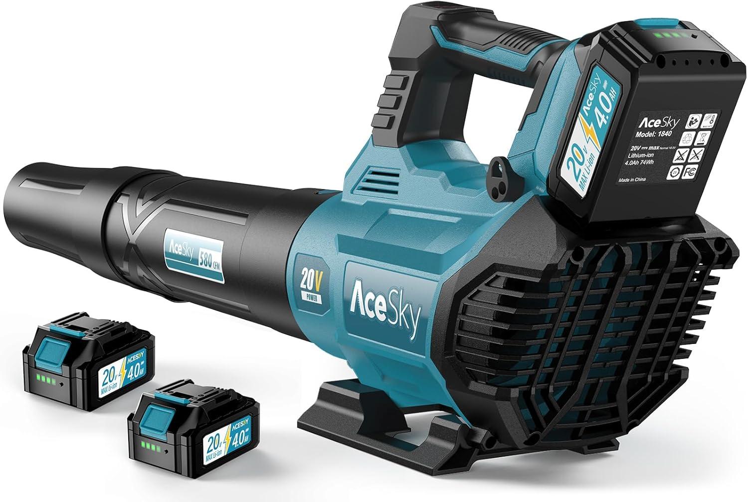 Cordless Leaf Blower Tested: Winter & Summer Power Showdown