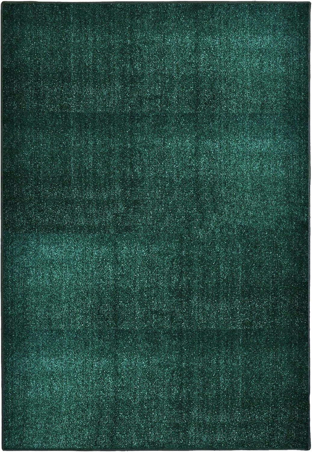 Artificial Grass Showdown: Rug vs. Spray Paint vs. Seed