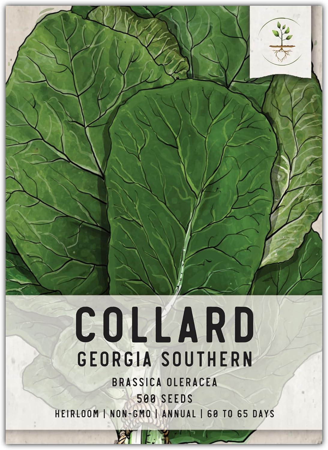Seed Showdown: Georgia Southern Collards for Your Garden