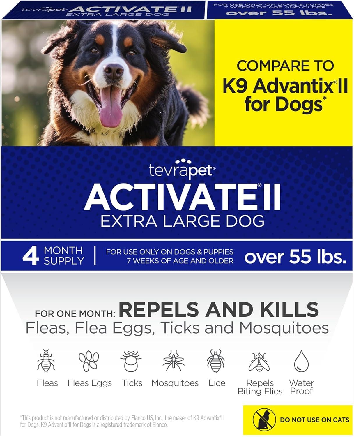 Fleas, Ticks & Dogs: A Surprising Showdown of Solutions