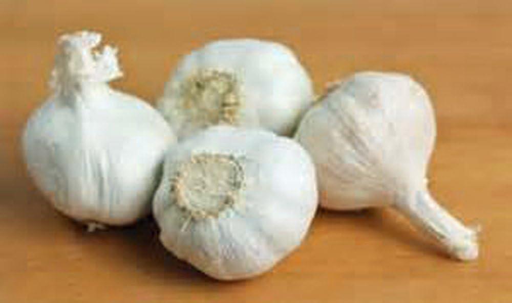 Garlic Showdown: Softgels Vs. Fresh Bulbs for Health Hacks