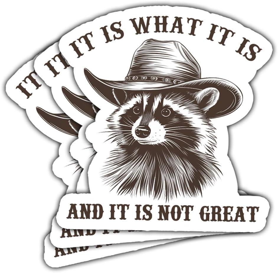 Sticker Showdown: Which 'It is What It Is' Style Stands Out?
