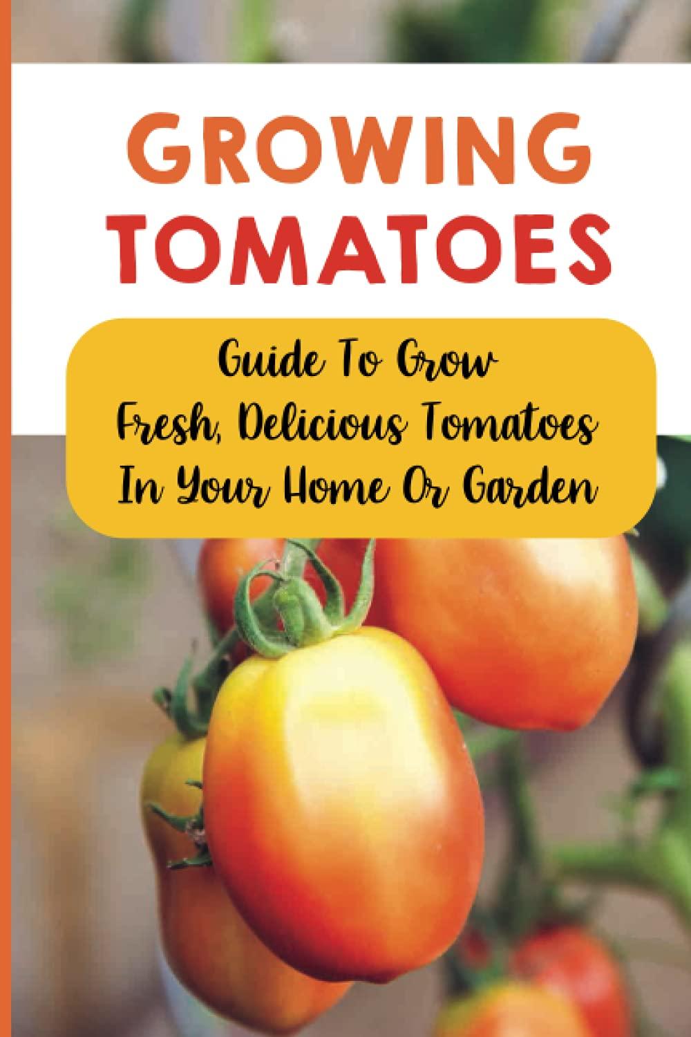 Indoors vs. Garden: Surprising Tomato Growing Showdown
