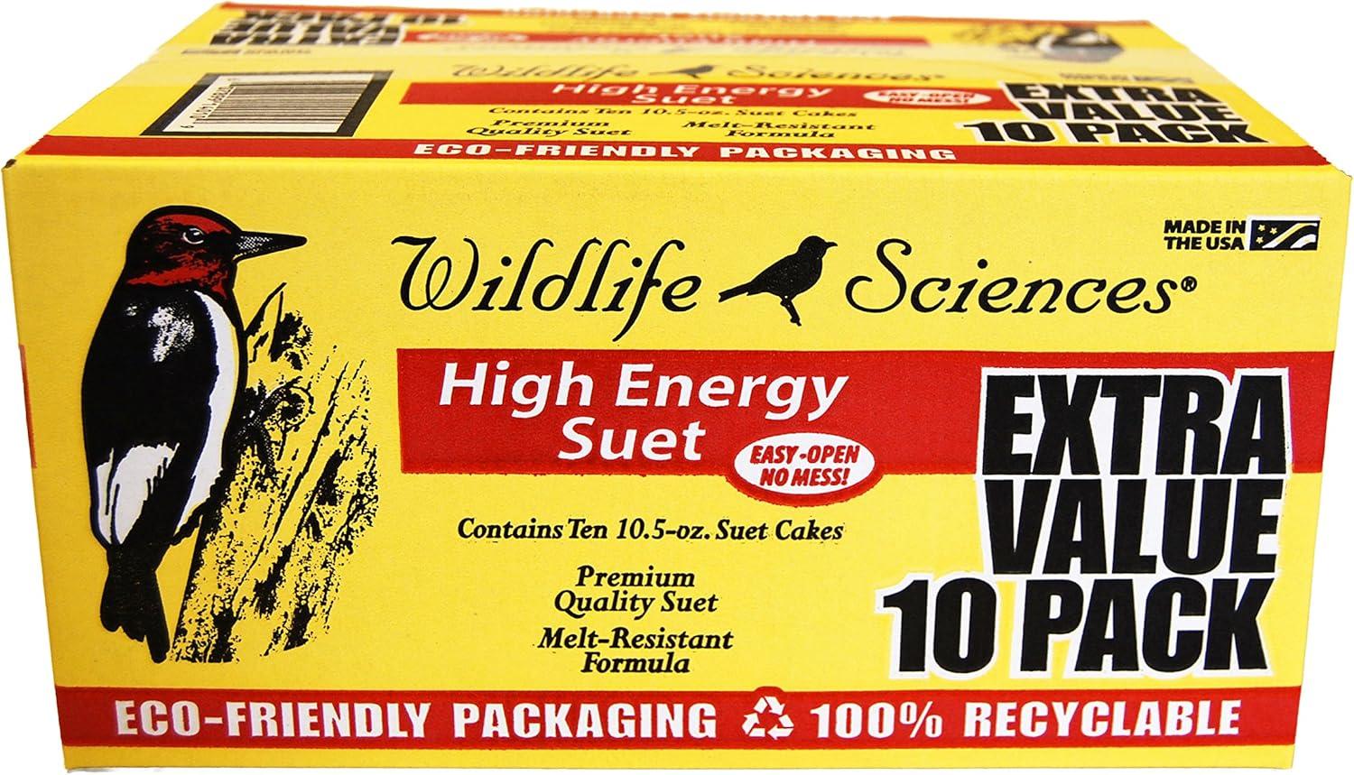 Wildlife Energizers: Suet Cakes That Wow Your Feathered Friends