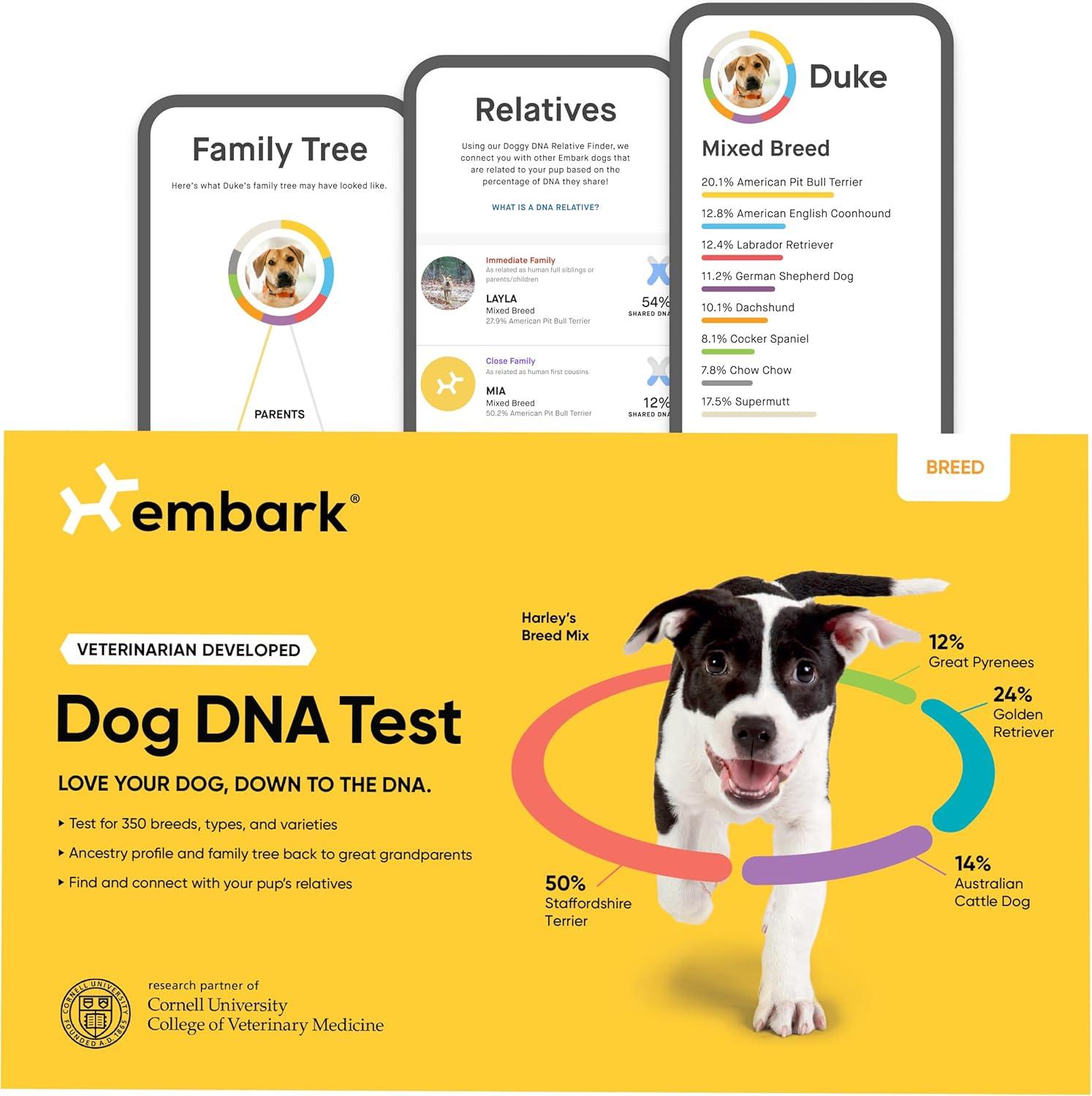 Discover Your Roots: Ancestry vs. Paternity vs. Dog DNA Kits