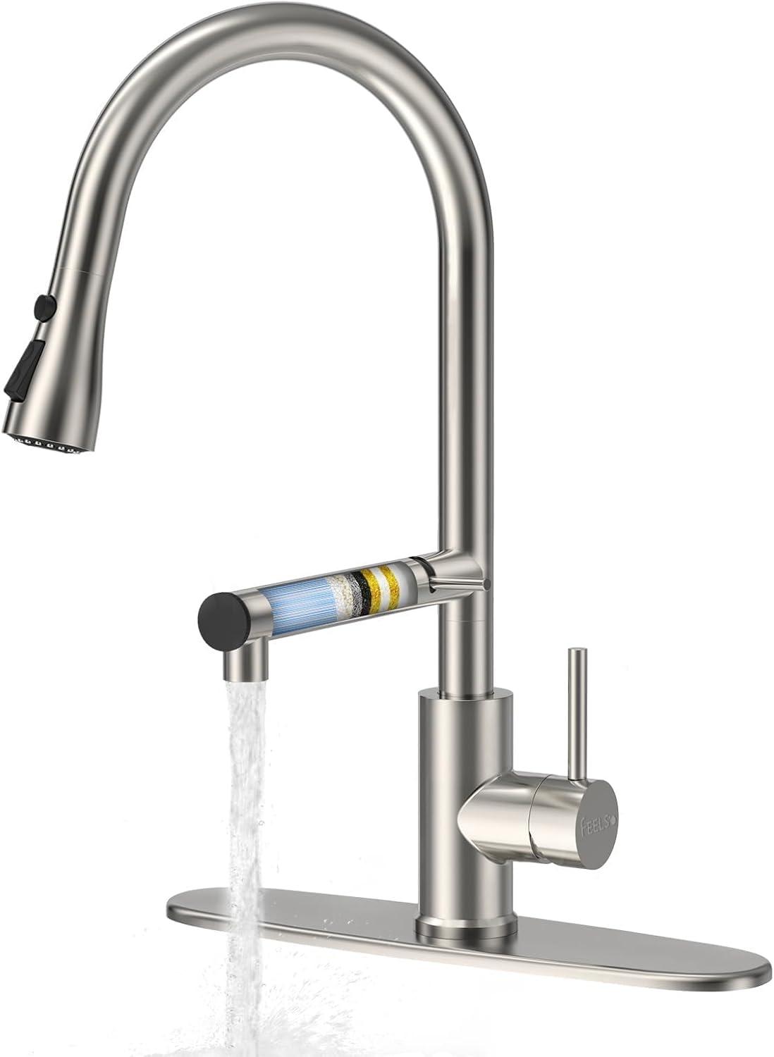 Surprising Showdown: Filter Kitchen Faucet Versus Traditional Options