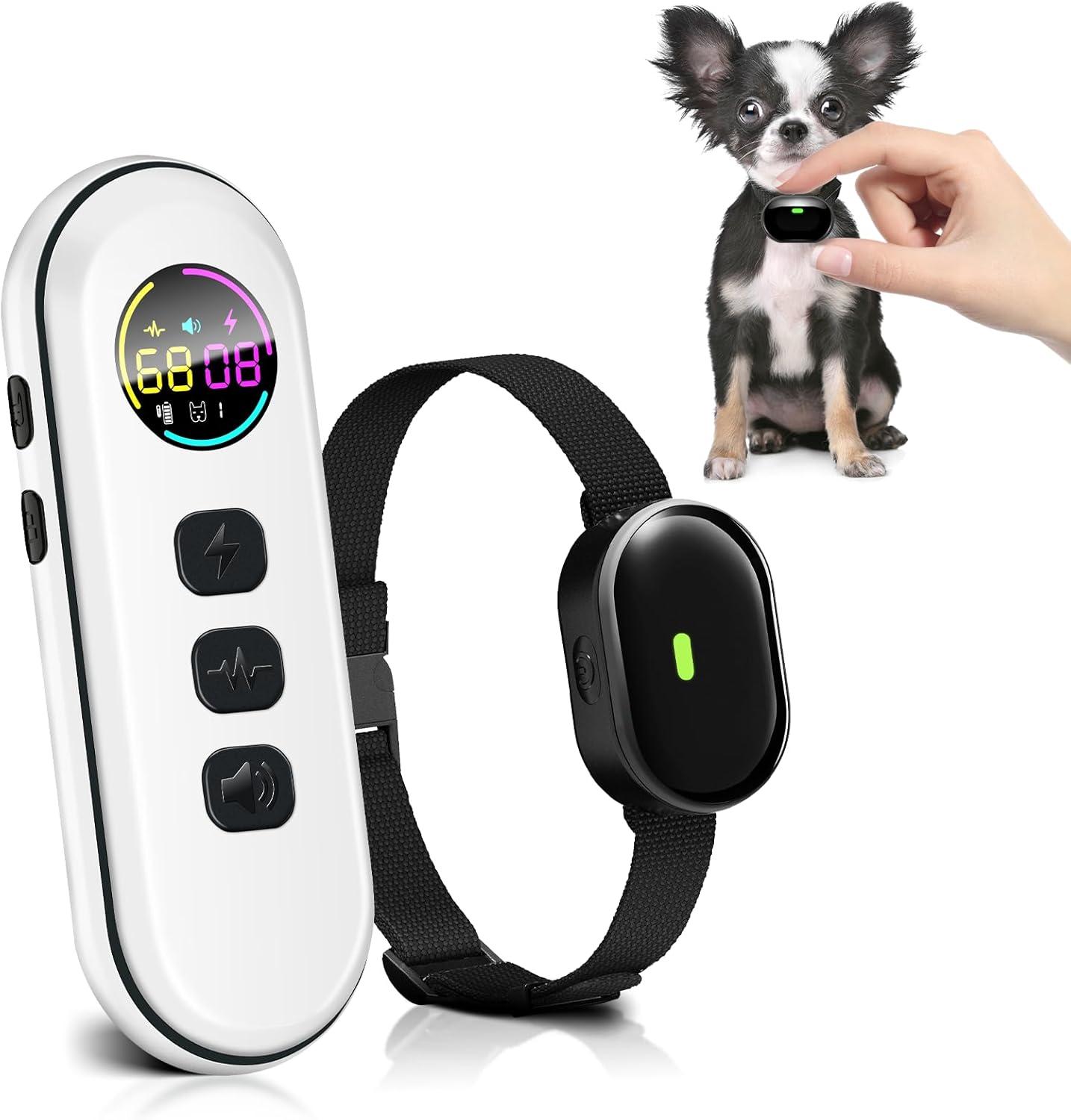 Comparing Dog Shock Collars: Which Fit Is Best for Your Pup?