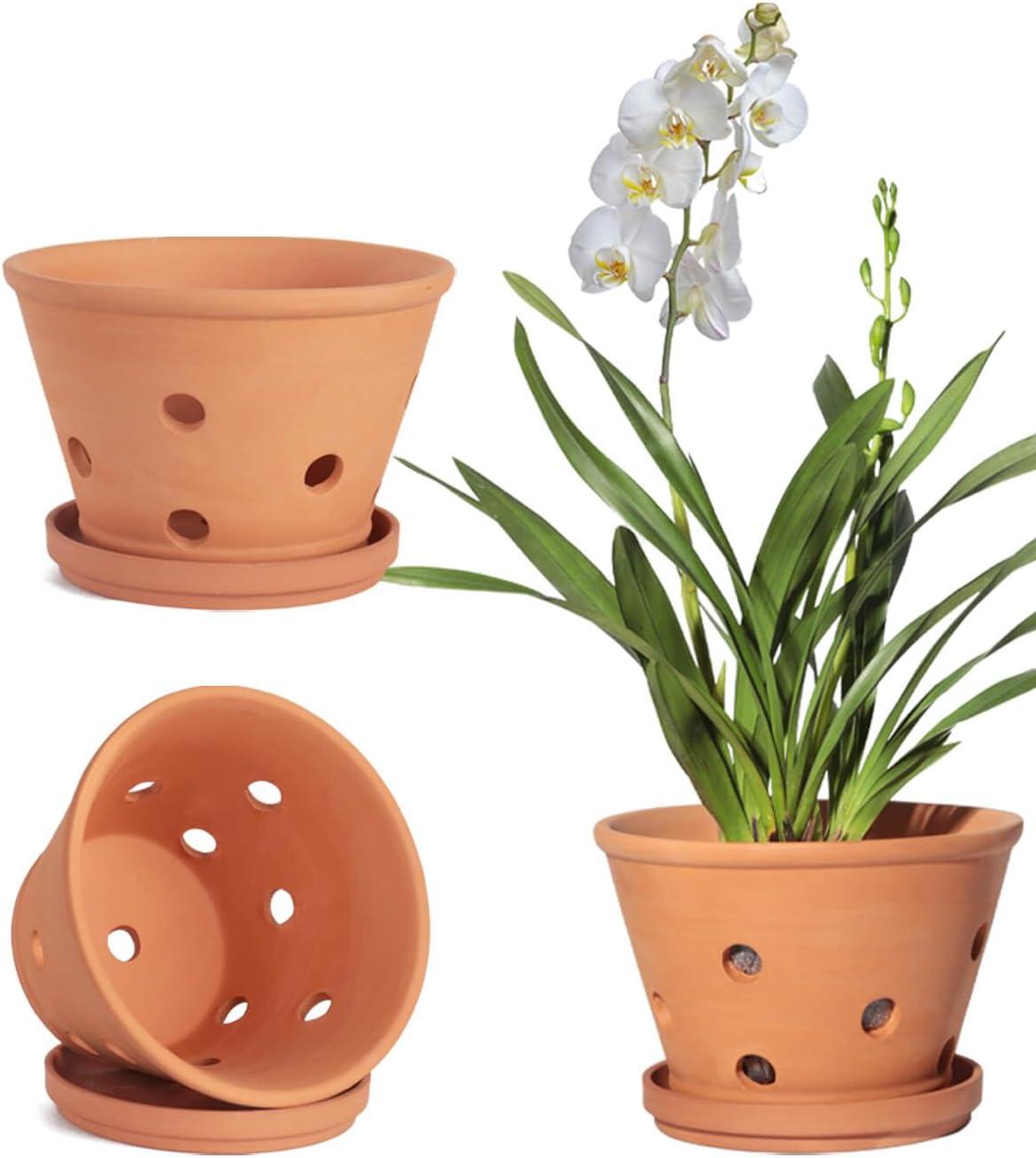 Vensovo Terracotta Orchid Pots Versus Plastic: A Surprising Showdown