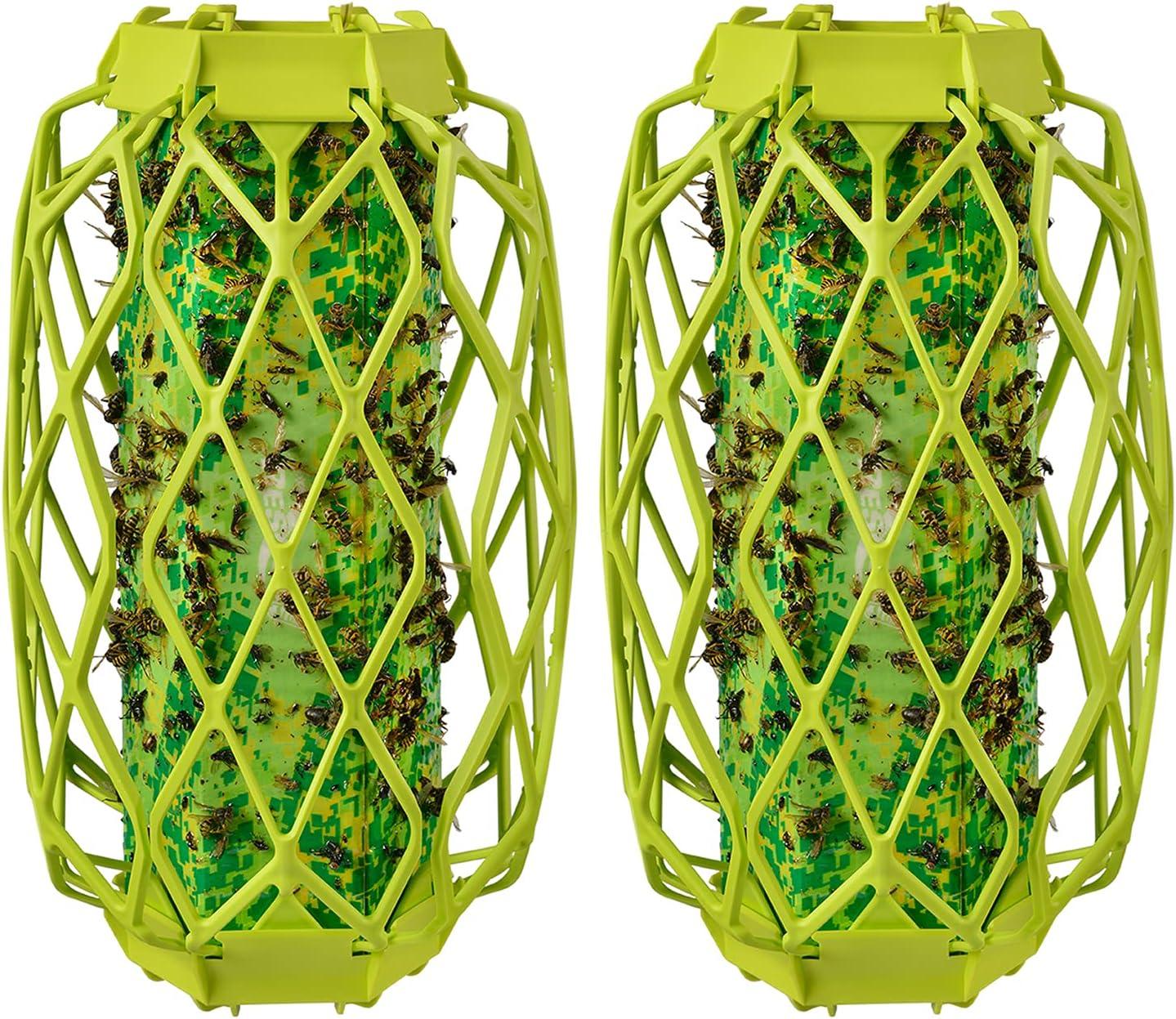 Bee-killing Showdown: Traps, Sprays, and Decoys Unveiled