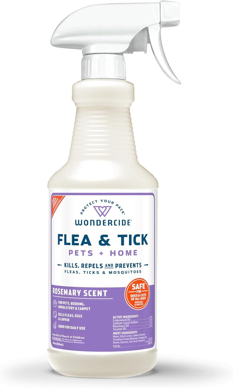 Lemongrass vs. Cedarwood vs. Rosemary: Which Bug Spray Wins?