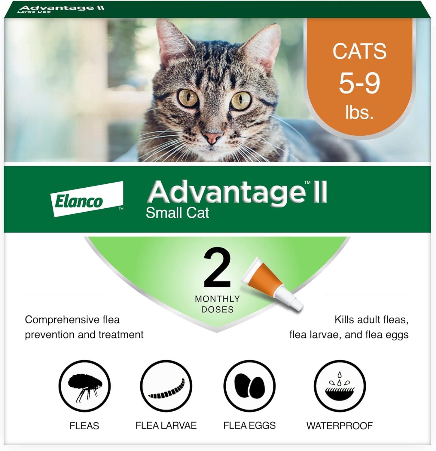 Flea Solutions Showdown: Advantage II for Small Cats Tested