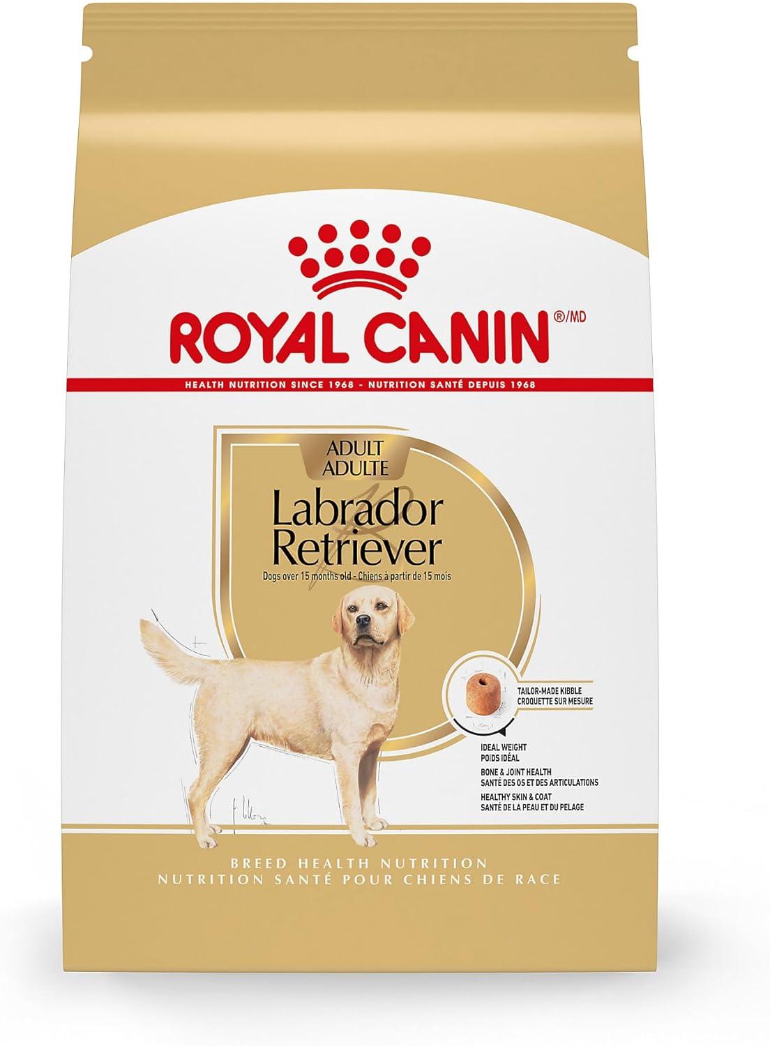 Surprising Showdown: 4 Dry Dog Foods for Distinct Needs