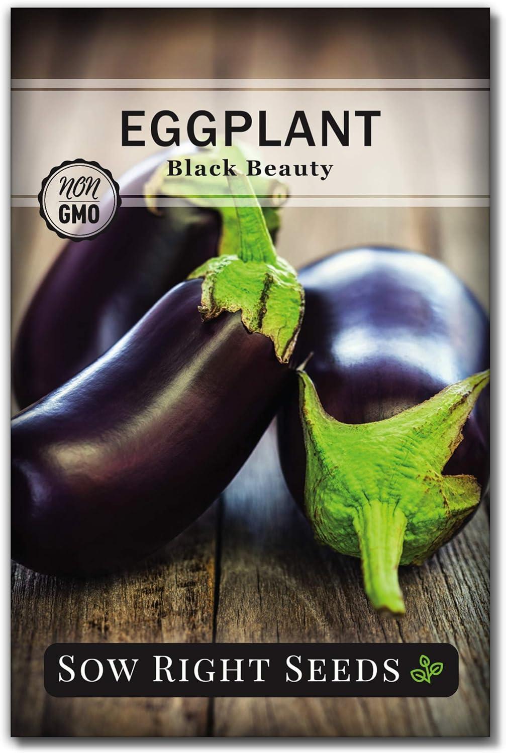 Planting Black Beauty Eggplants: Two Seeds Faceoff for Flavor!