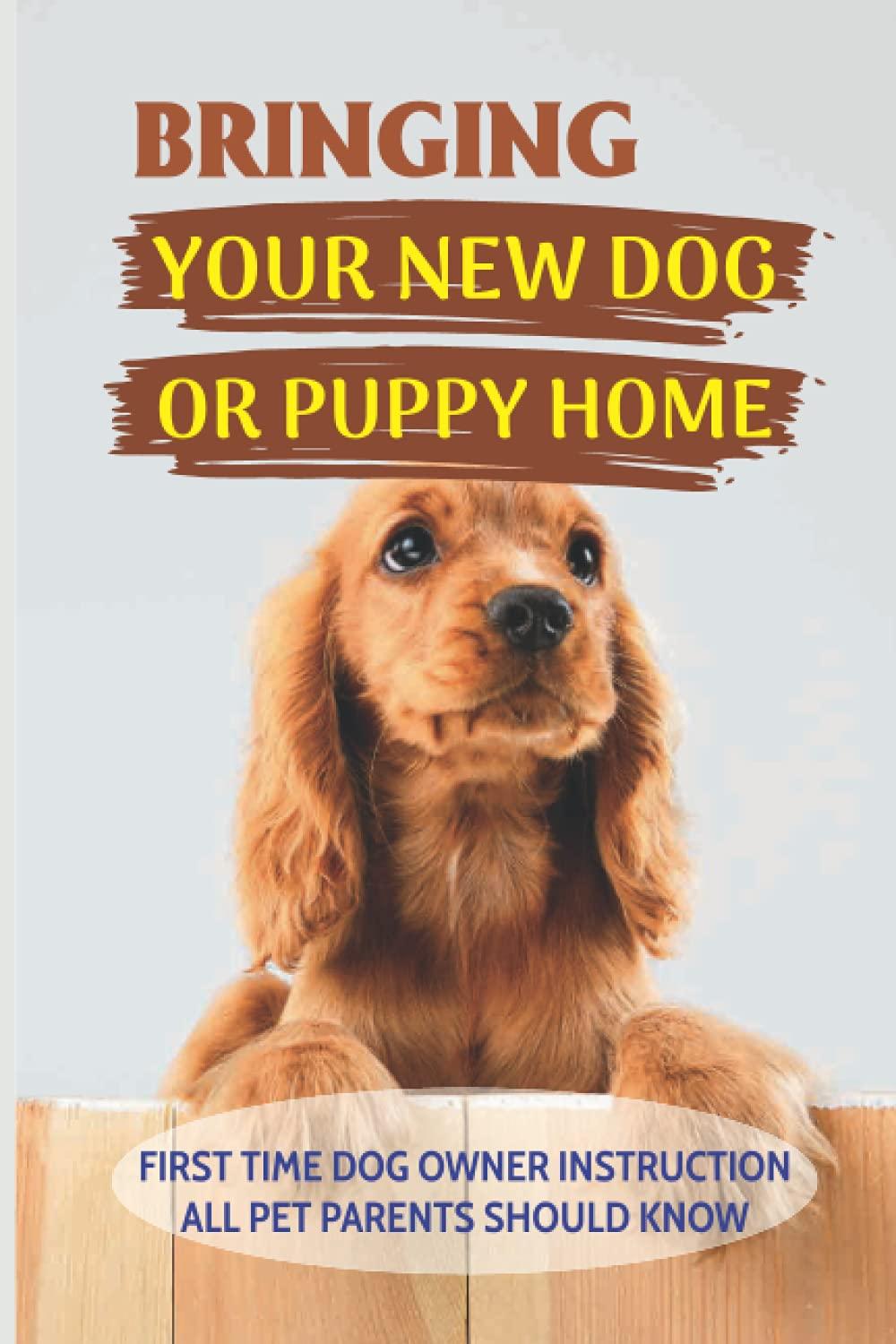 Food For Fido: Surprising Insights For New Dog Parents