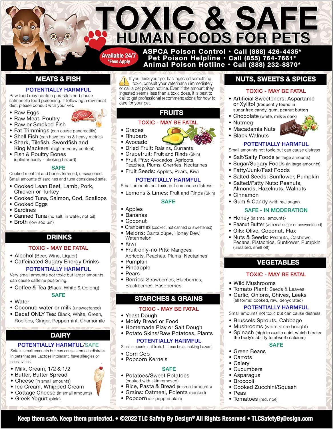 Magnetic Chart Versus Card: Fun Pet Food Safety Insights