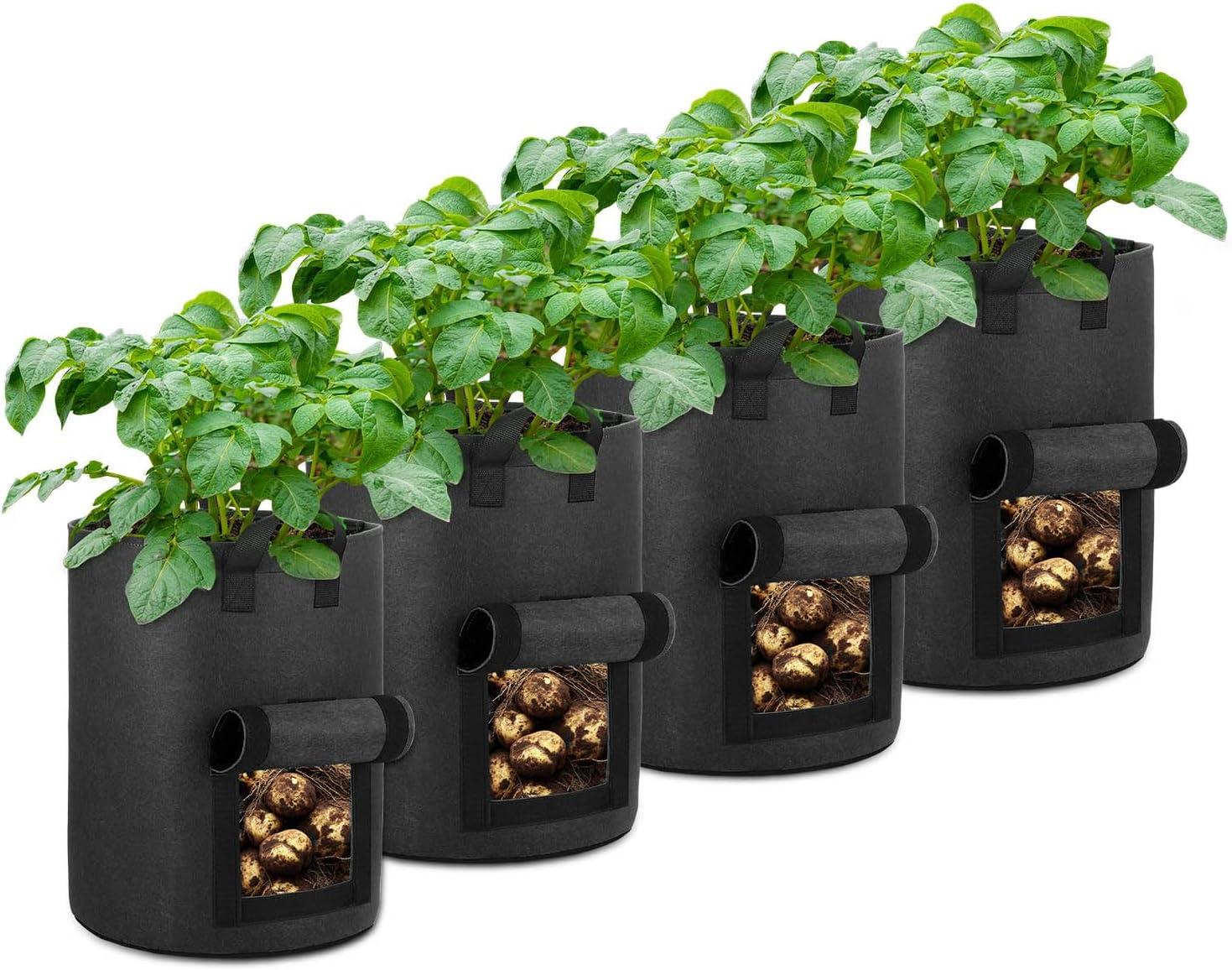 Surprising Showdown: Potato Grow Bags That's Winning Gardens!