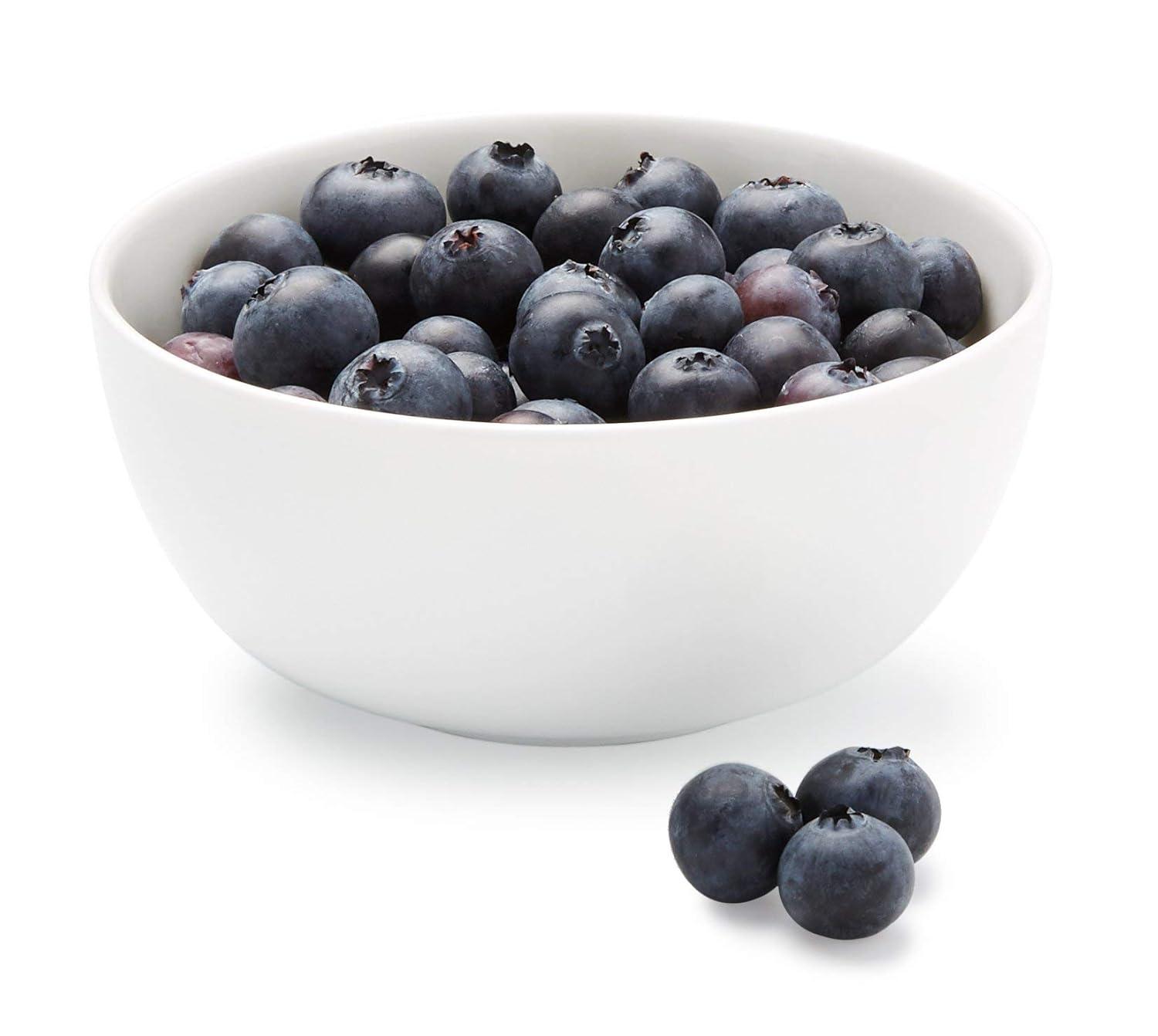 Fresh vs. Dried Blueberries: Surprising Choices for Snacking