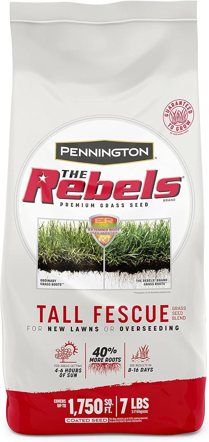 Pennington Tall Fescue Showdown: A Lawn's Secret Weapon