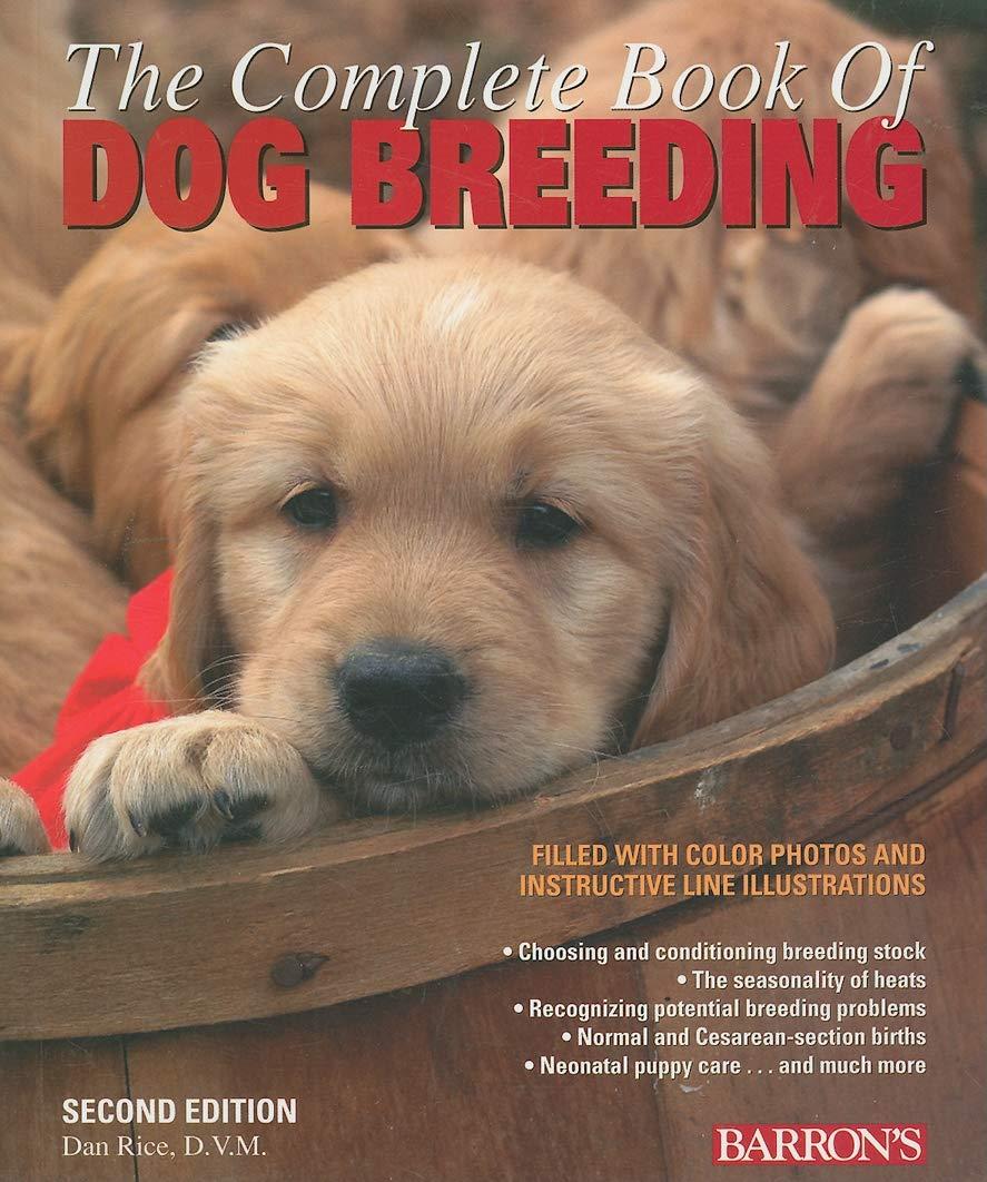 Dog Breeding Insights: Canine Care Showdown for Newbies