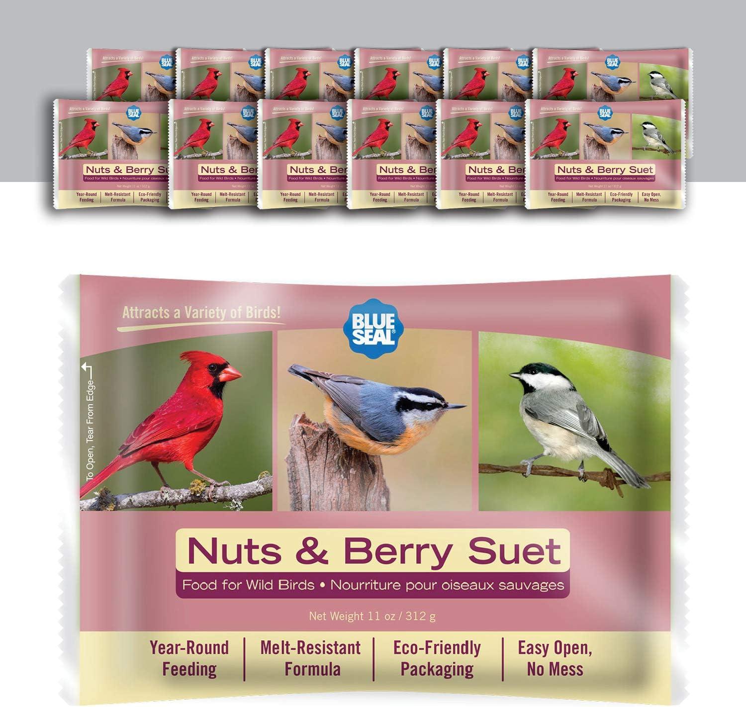 Blue Seal Nut-Berry Suet Cake: Mess-Free vs. Tested Wild Bird Treat!