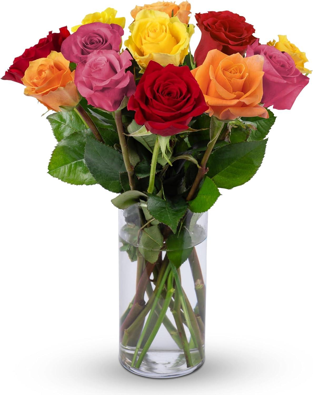 Premium Rainbow Roses Tested Versus Bouquets: Glass Vase Insight... Perfect Gift Trend