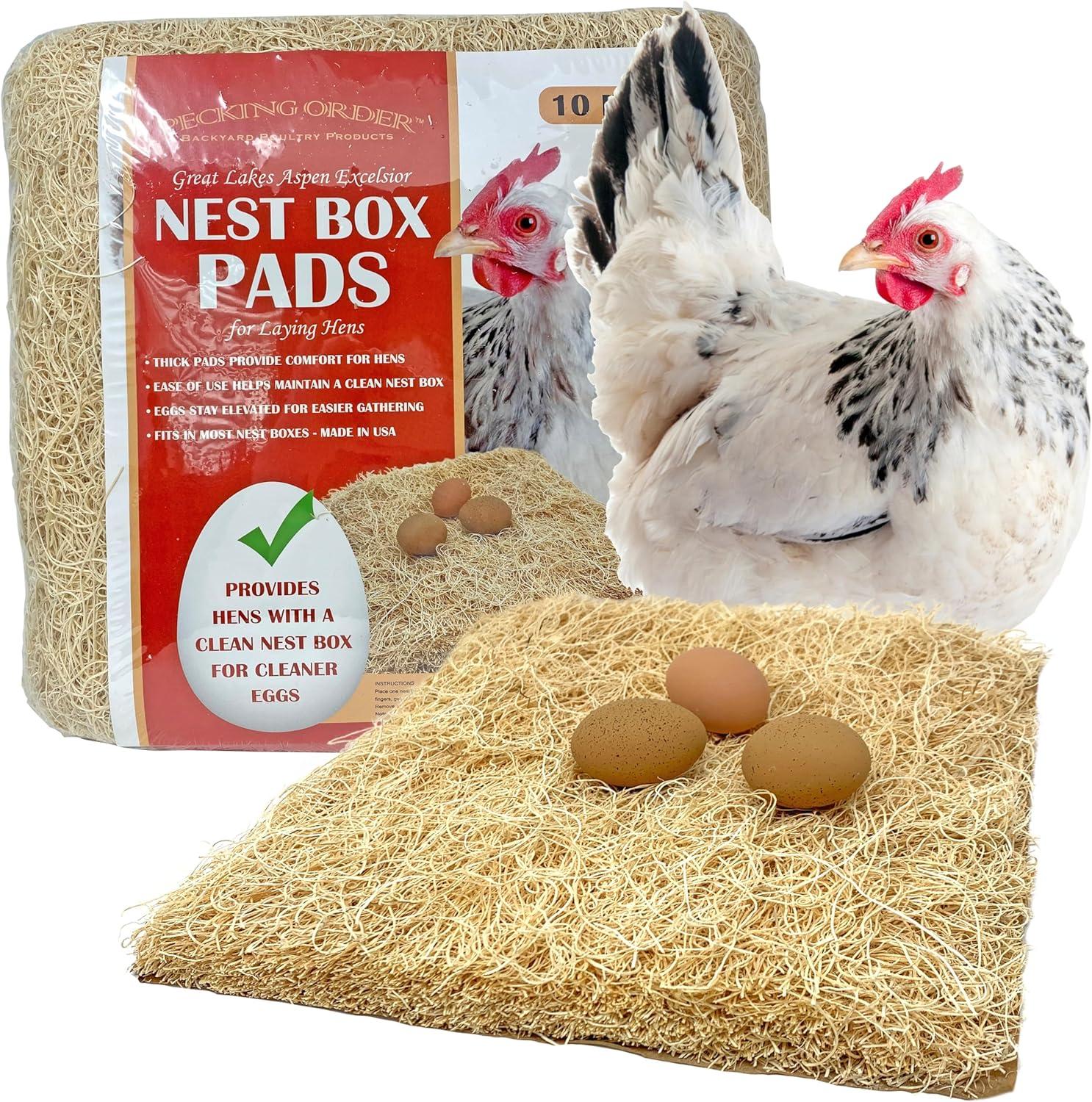 Showdown: 13x13 Sustainably Sourced Pads Tested for Chicken Nesting Boxes