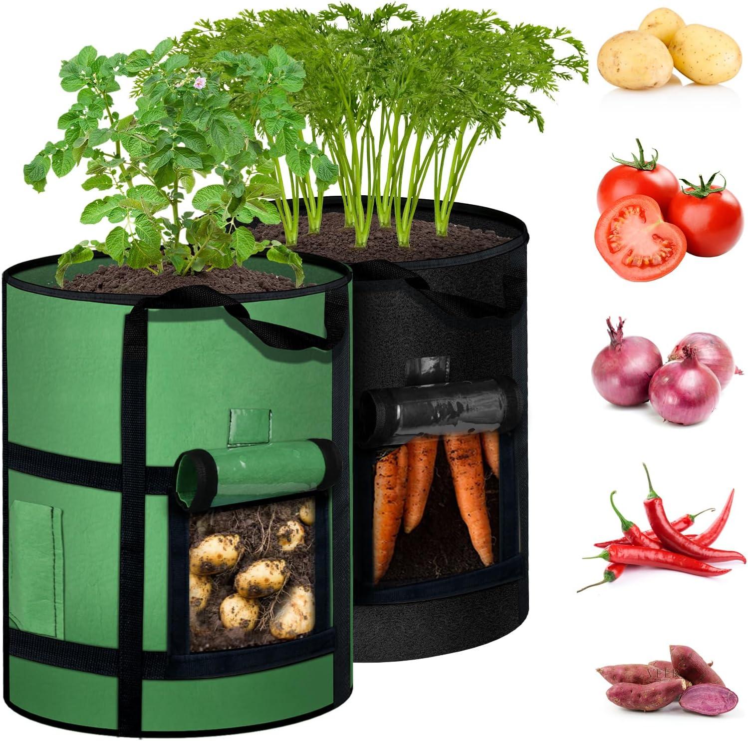 Surprising Insight: Harvest Without Digging… Container Potatoes!