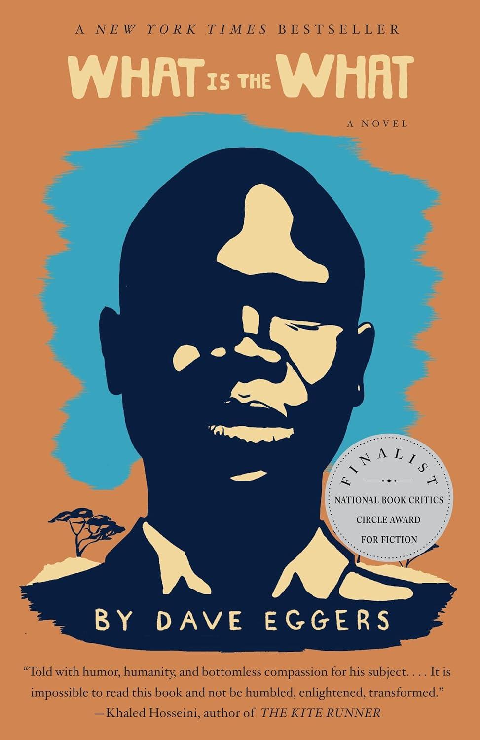 What is the What vs. Literary Fiction: Surprising Insight for Modern Readers