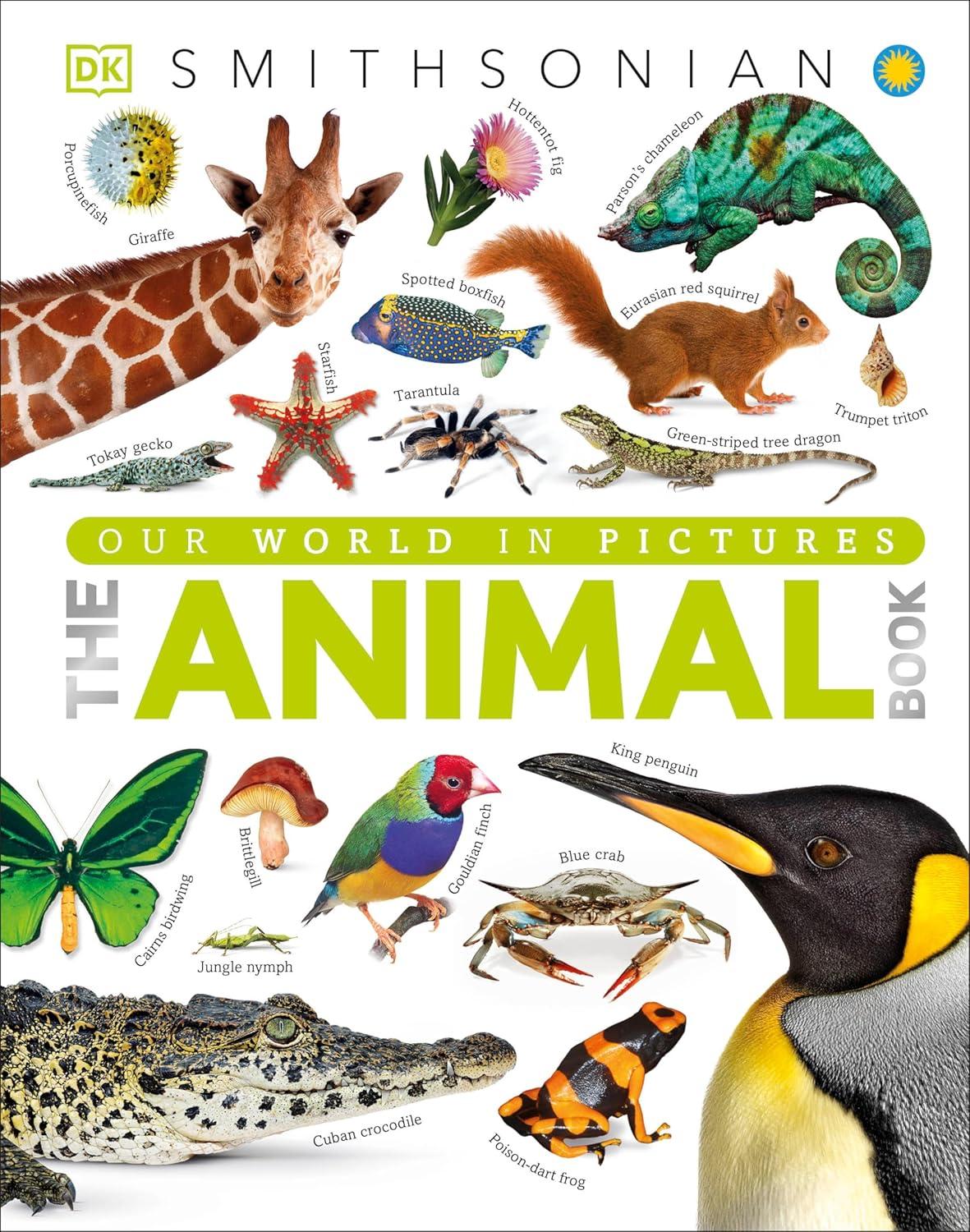 Surprising Insight: DK's Visual Encyclopedia vs. 1,000+ Images in Kids' Books - Tested for Curious Minds?
