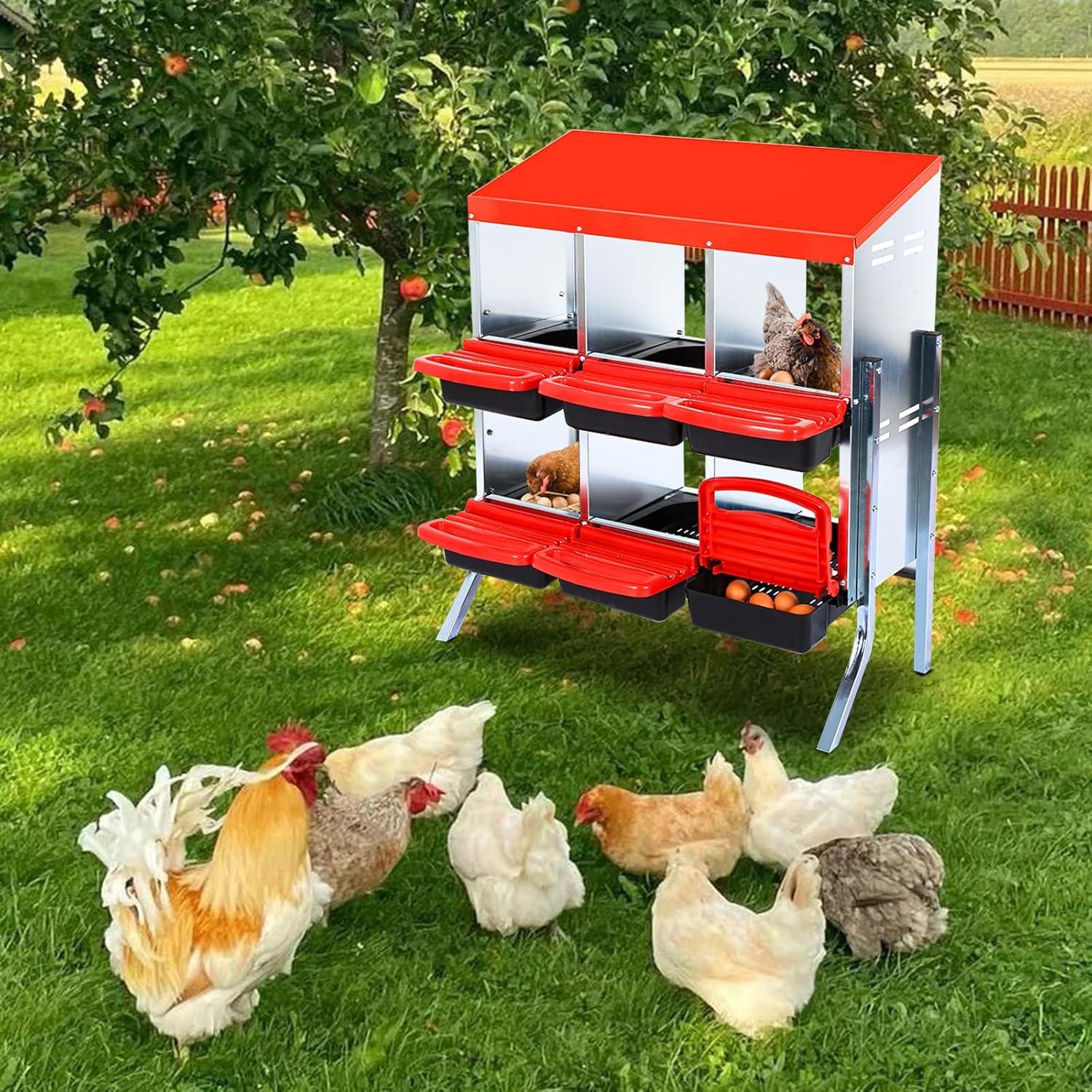 Surprising Pet Supplies: Tested Chicken Gear for Safe, Fun Farm Adventures