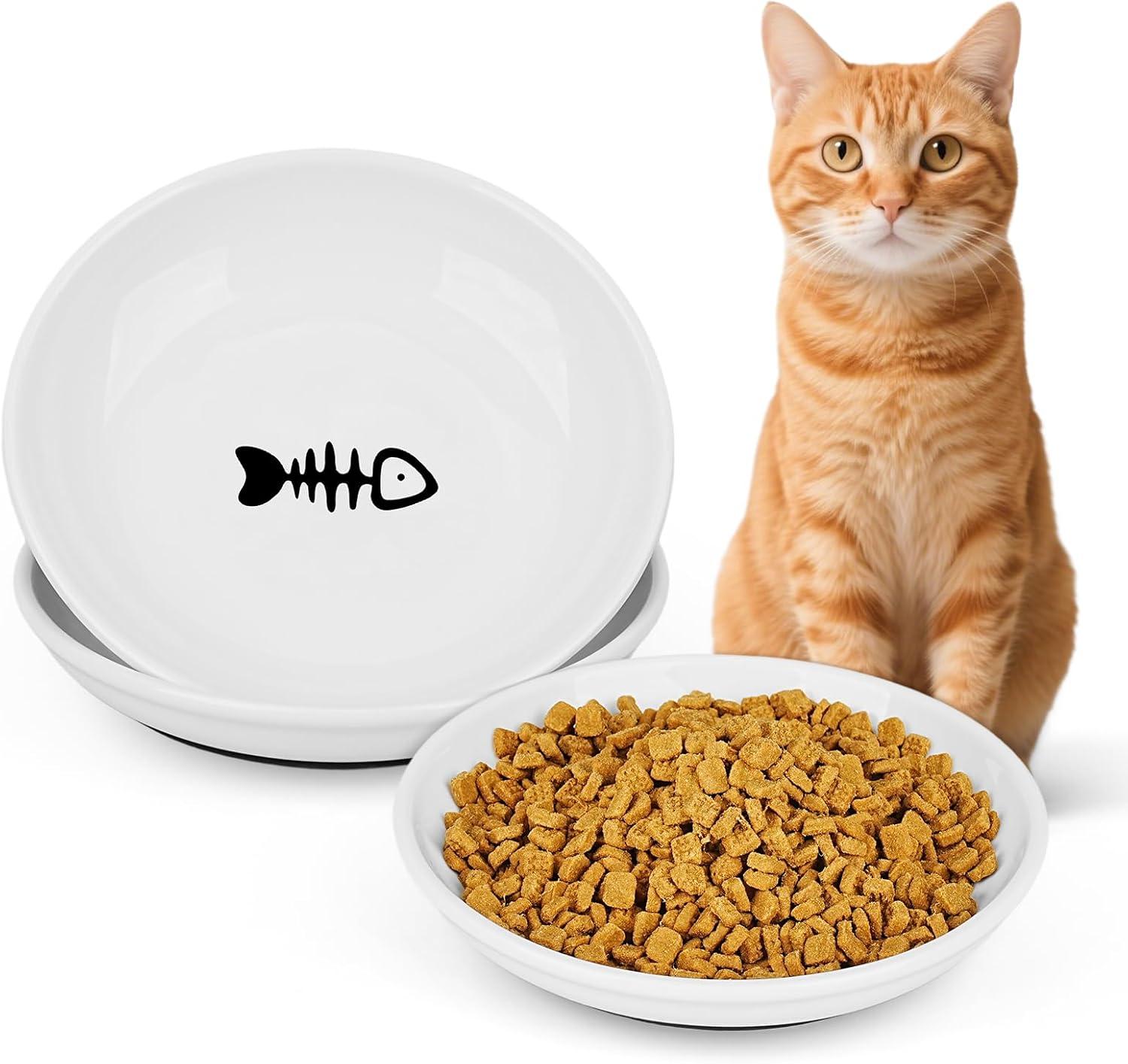Surprising Insight: Dual-Function Feeder Tested for Fresh, Safe Meals