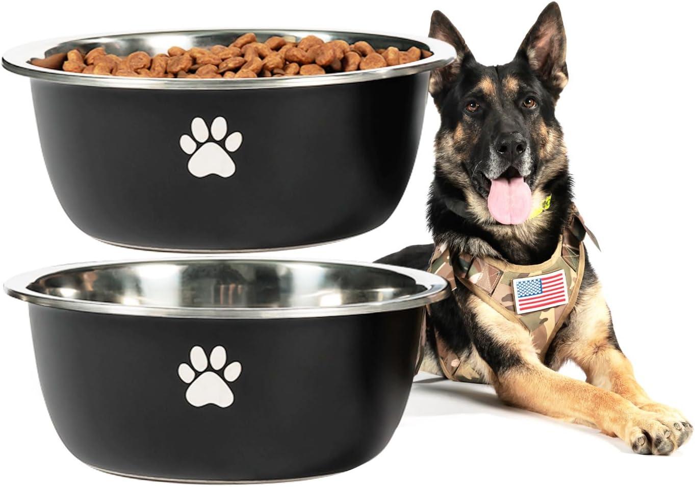Showdown: 2-Pack vs. 1.3 Gallon Stainless Steel for Big Dogs - Tested