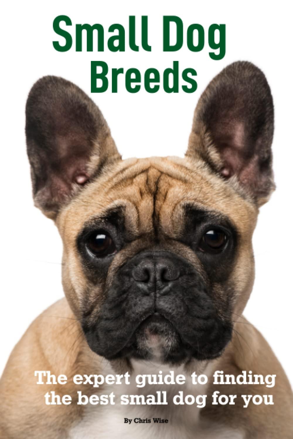 Tested: Collar vs. Book - 60 Levels & Expert Advice for Small Dog Owners