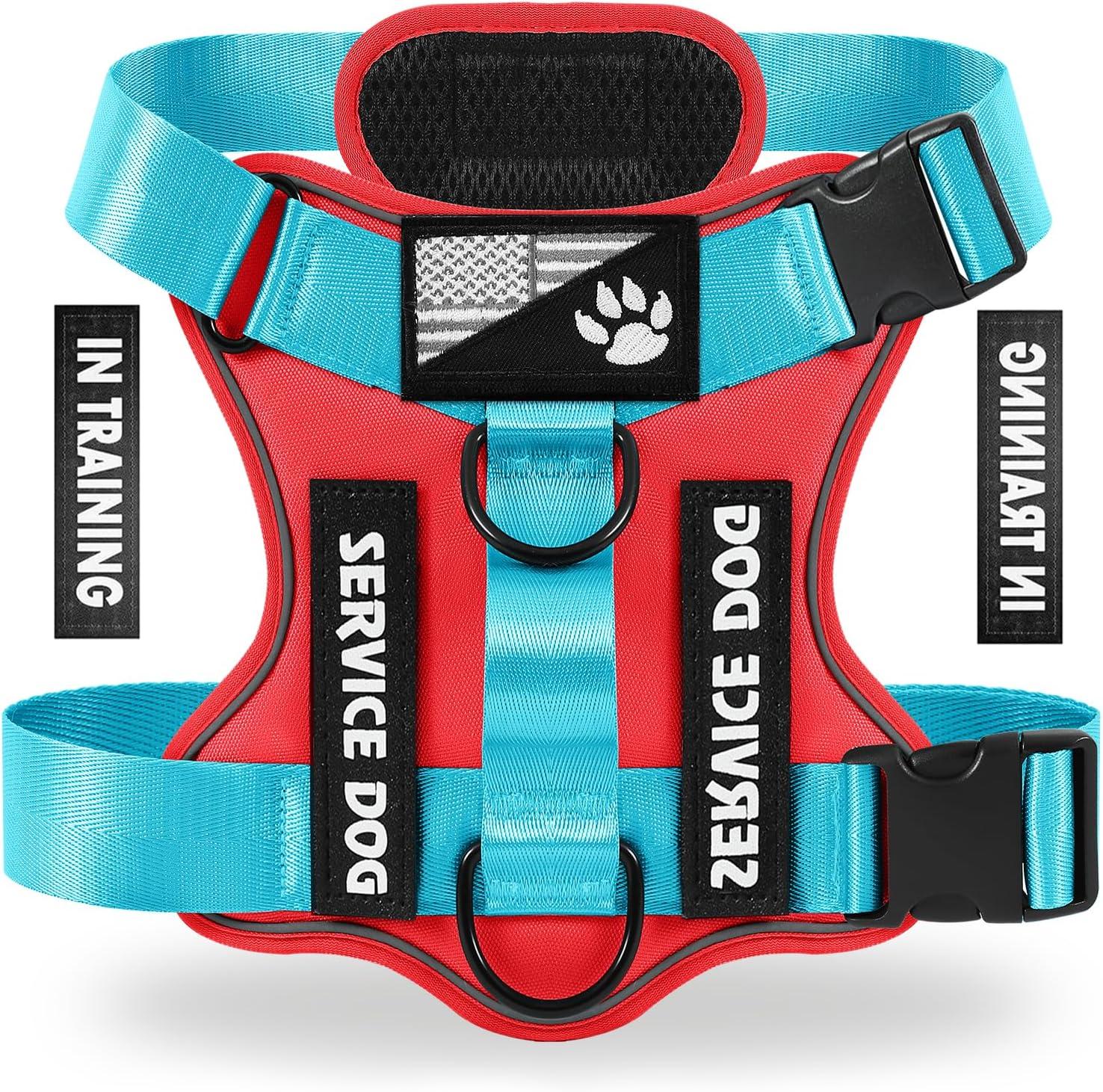 Surprising Safety: Reflective Dog Harness Tested for Nighttime Walks