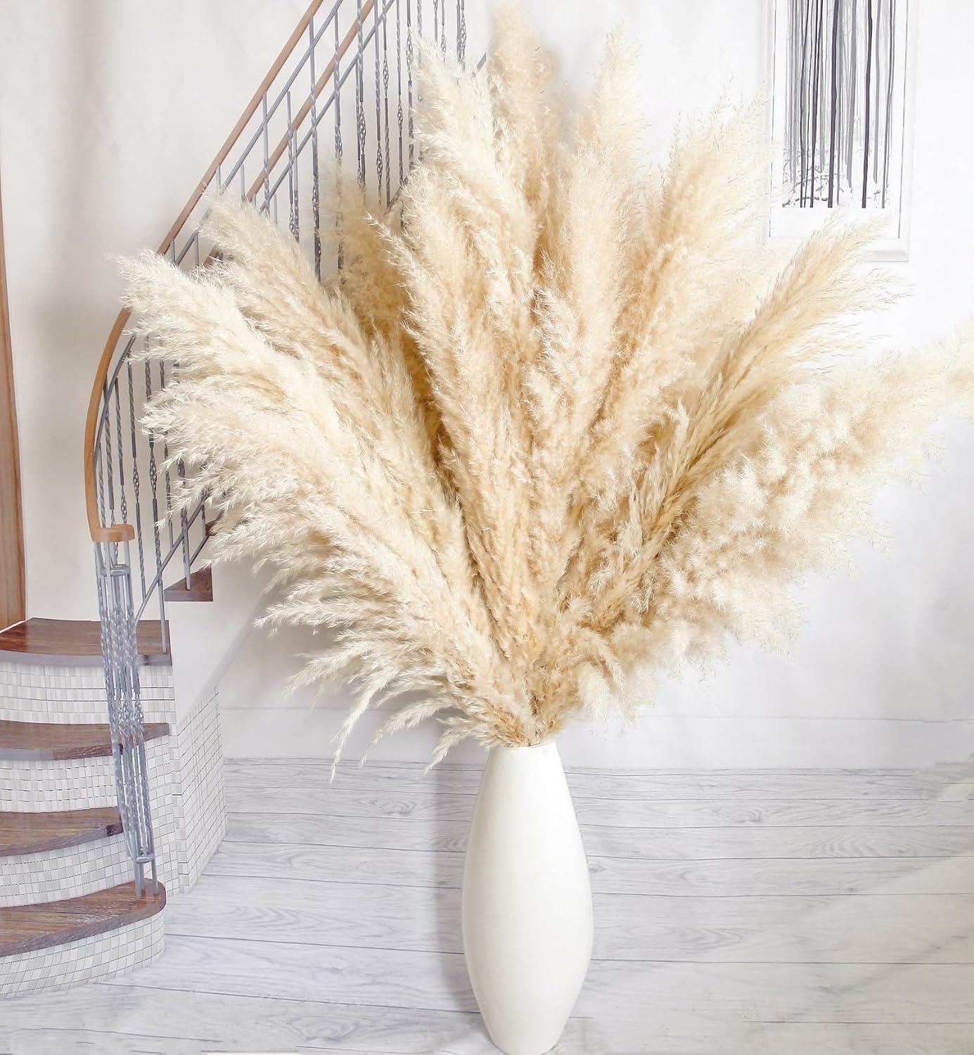 Showdown: 10pcs Pampas Grass Tested for 40'' Floor & Wall Use (Trendy!)