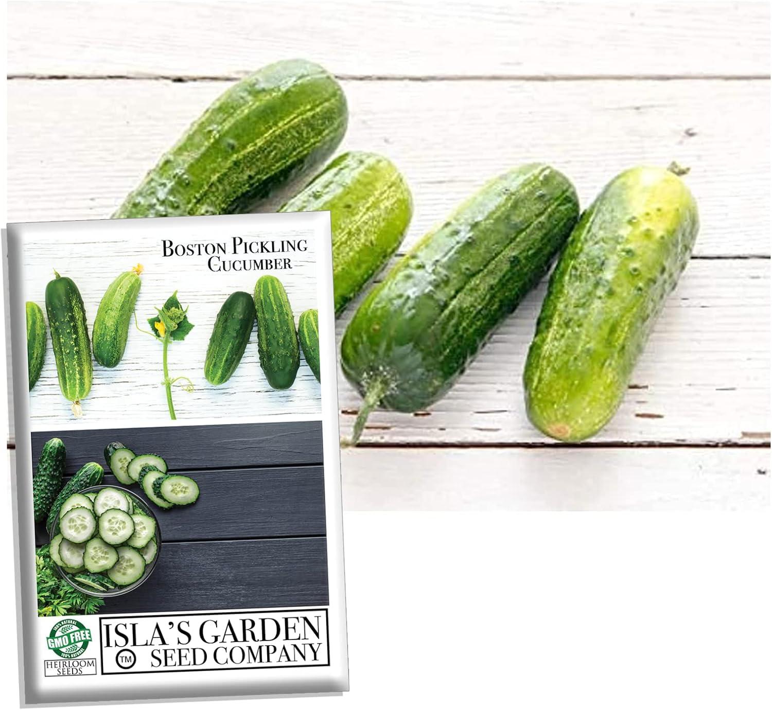 Non-GMO Cucumber Seeds: Tested for Higher Yields