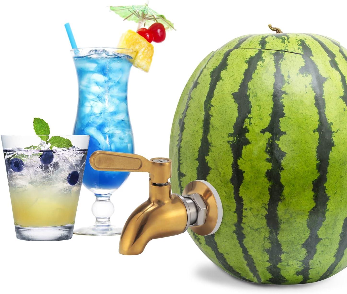 Showdown: Shaved Ice Machine vs. Watermelon Tap for Party Use