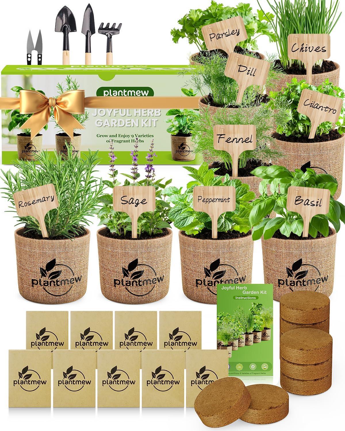 Best Indoor Herb Garden Kit - Plantmew Review