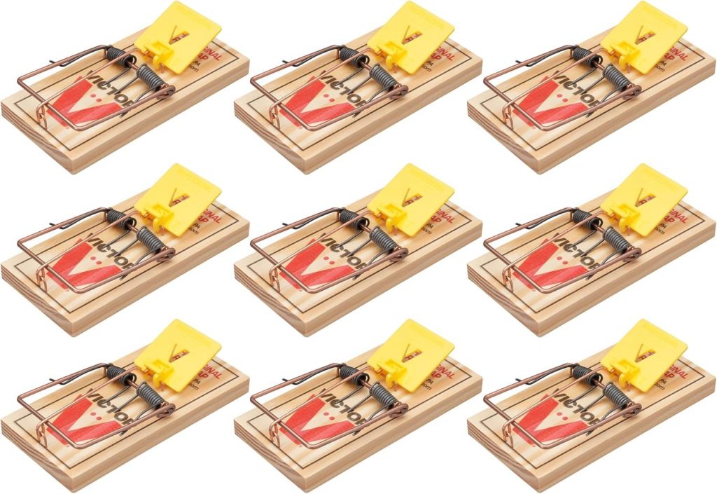 Best Rat Trap – Victor M205-9 Wide Plastic Pedal Review