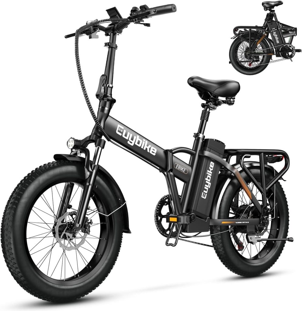 Best Electric Bike – bluebiko 1000W Folding Electric Bike Review