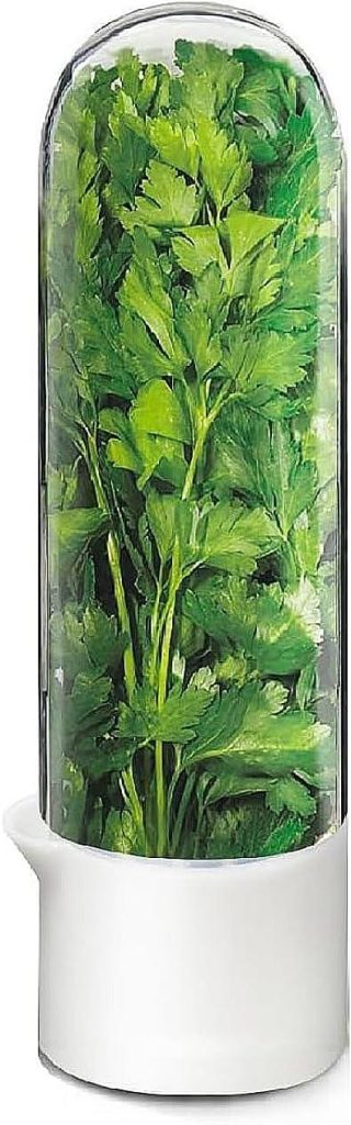 Best Herb Saver – Minkeytal Cilantro Container for Fridge Review