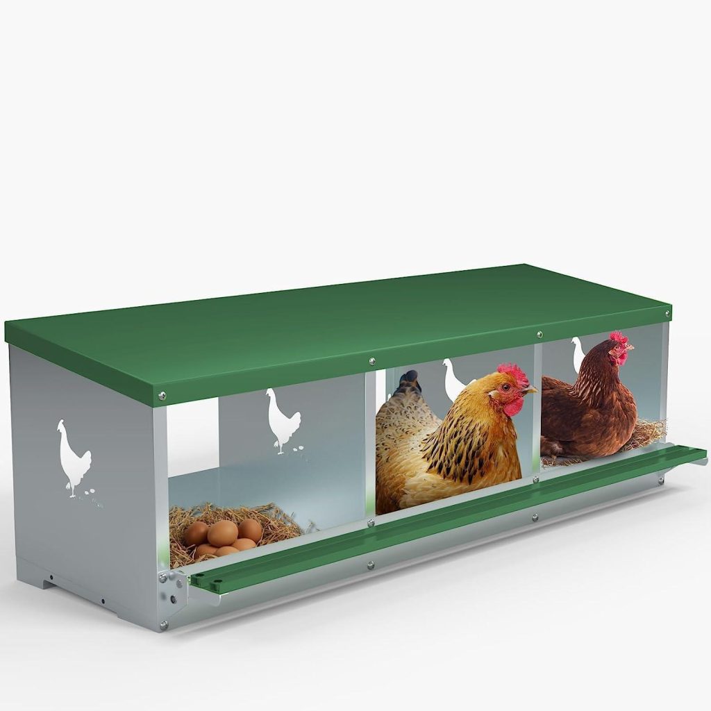 Best Chicken Nesting Boxes – TOCRETOARE 3 Hole Coop Box Review